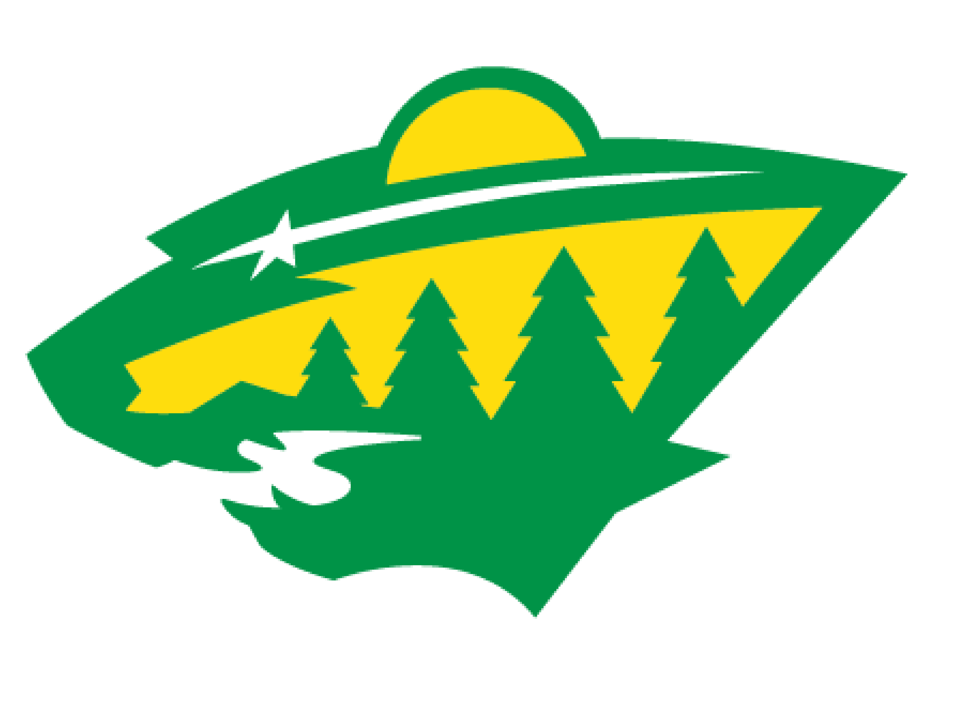 North Stars Academy Wild